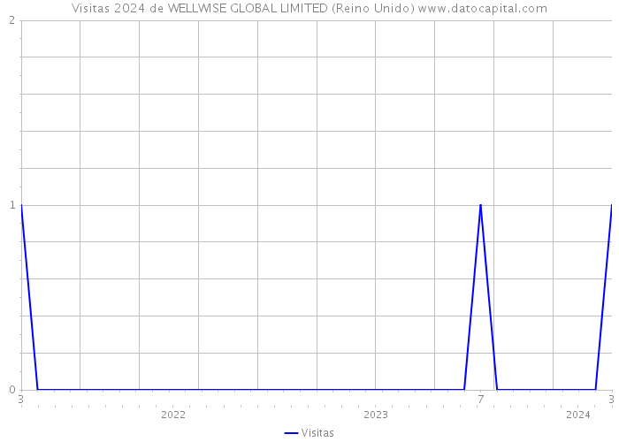Visitas 2024 de WELLWISE GLOBAL LIMITED (Reino Unido) 