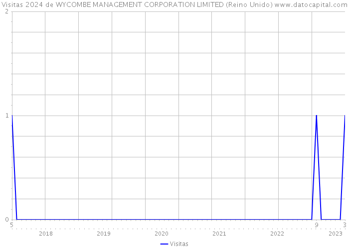Visitas 2024 de WYCOMBE MANAGEMENT CORPORATION LIMITED (Reino Unido) 