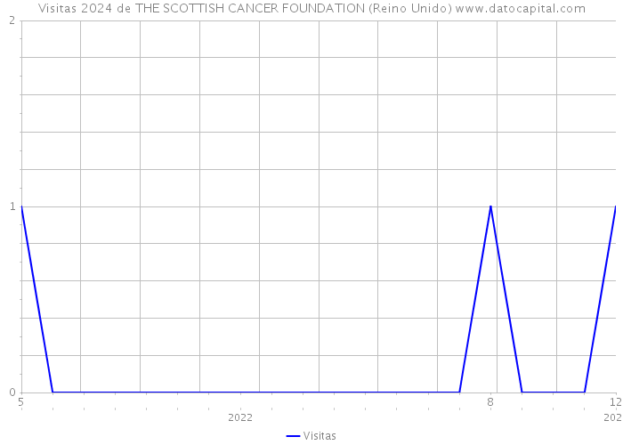 Visitas 2024 de THE SCOTTISH CANCER FOUNDATION (Reino Unido) 