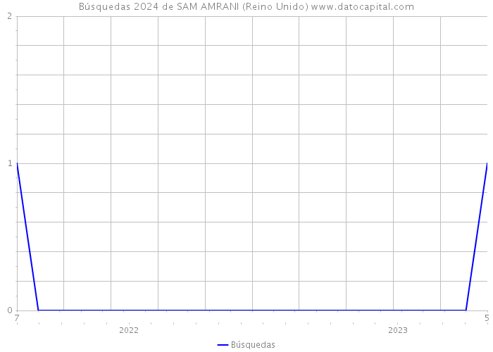 Búsquedas 2024 de SAM AMRANI (Reino Unido) 