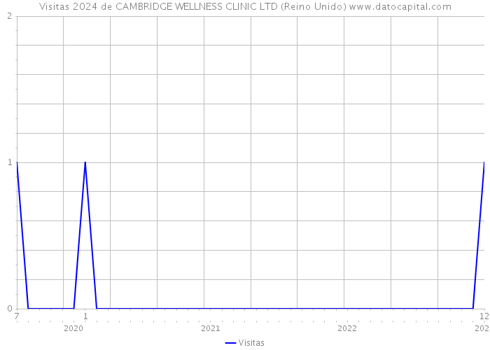 Visitas 2024 de CAMBRIDGE WELLNESS CLINIC LTD (Reino Unido) 