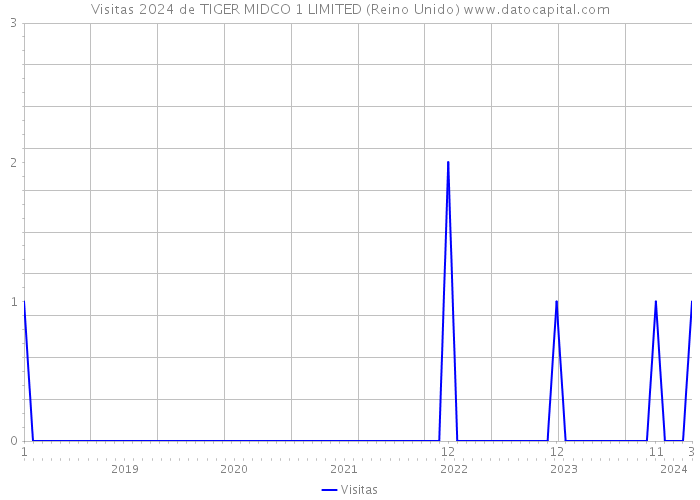 Visitas 2024 de TIGER MIDCO 1 LIMITED (Reino Unido) 