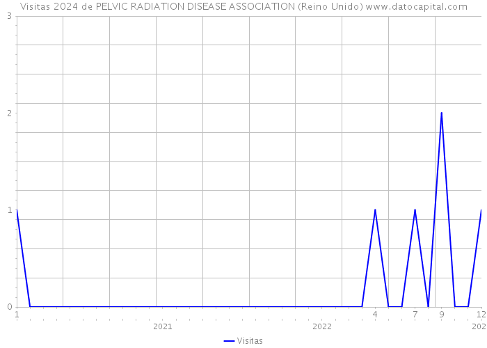 Visitas 2024 de PELVIC RADIATION DISEASE ASSOCIATION (Reino Unido) 