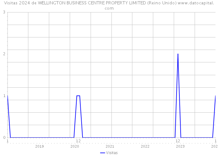 Visitas 2024 de WELLINGTON BUSINESS CENTRE PROPERTY LIMITED (Reino Unido) 