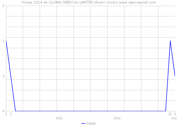 Visitas 2024 de GLOBAL MEDICAL LIMITED (Reino Unido) 