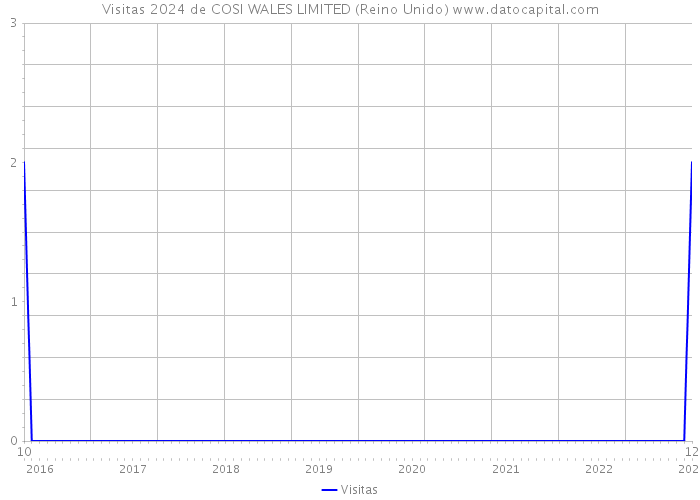 Visitas 2024 de COSI WALES LIMITED (Reino Unido) 