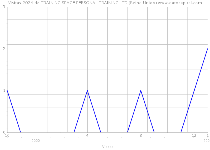 Visitas 2024 de TRAINING SPACE PERSONAL TRAINING LTD (Reino Unido) 