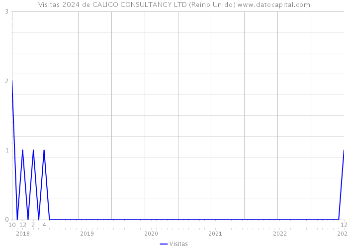 Visitas 2024 de CALIGO CONSULTANCY LTD (Reino Unido) 