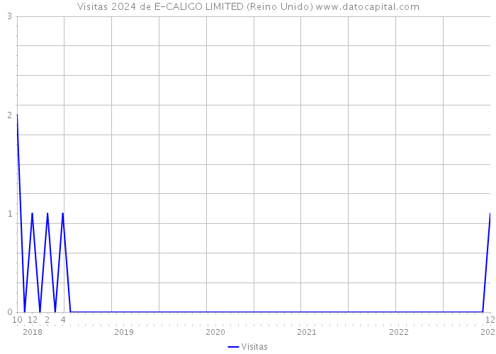 Visitas 2024 de E-CALIGO LIMITED (Reino Unido) 