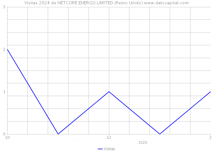 Visitas 2024 de NETCORE ENERGO LIMITED (Reino Unido) 