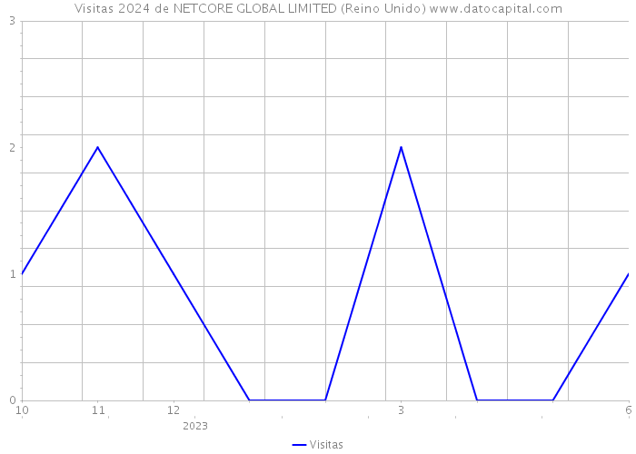 Visitas 2024 de NETCORE GLOBAL LIMITED (Reino Unido) 