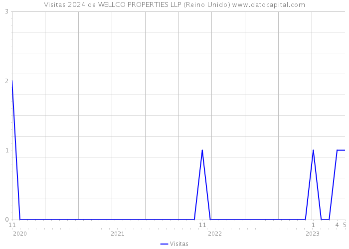 Visitas 2024 de WELLCO PROPERTIES LLP (Reino Unido) 