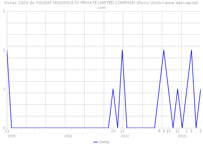 Visitas 2024 de YOUSAF HOLDINGS SY PRIVATE LIMITED COMPANY (Reino Unido) 