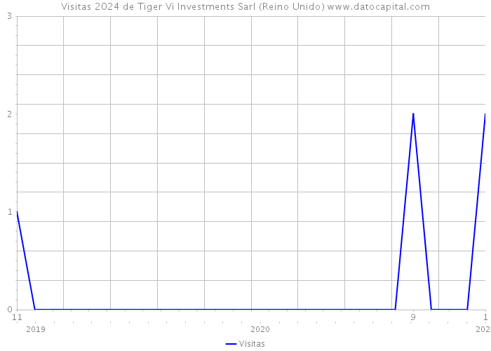 Visitas 2024 de Tiger Vi Investments Sarl (Reino Unido) 