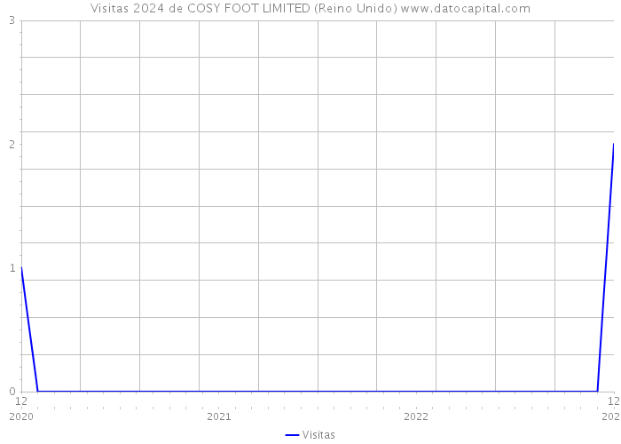 Visitas 2024 de COSY FOOT LIMITED (Reino Unido) 
