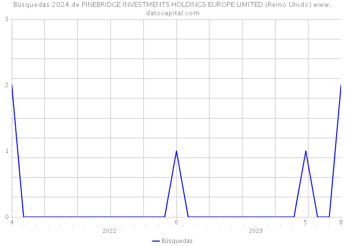 Búsquedas 2024 de PINEBRIDGE INVESTMENTS HOLDINGS EUROPE LIMITED (Reino Unido) 