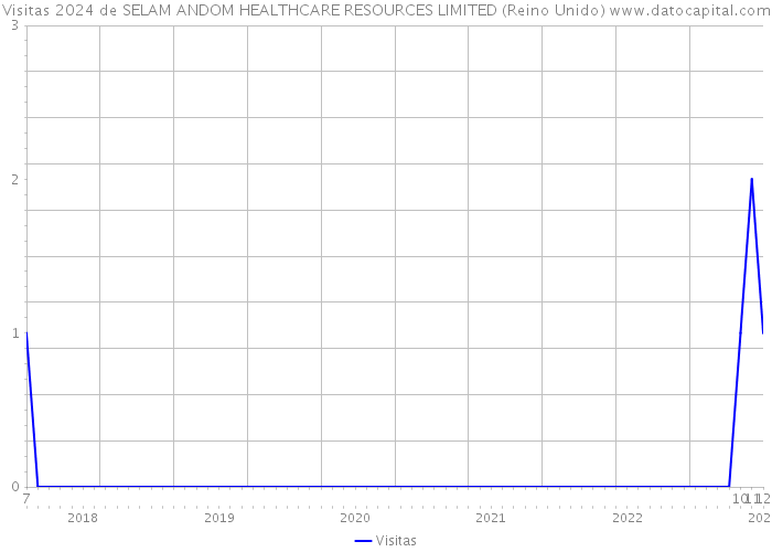 Visitas 2024 de SELAM ANDOM HEALTHCARE RESOURCES LIMITED (Reino Unido) 