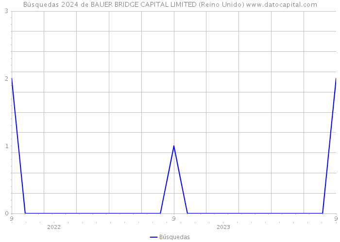 Búsquedas 2024 de BAUER BRIDGE CAPITAL LIMITED (Reino Unido) 