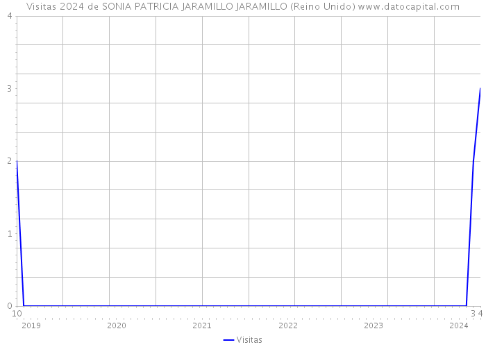 Visitas 2024 de SONIA PATRICIA JARAMILLO JARAMILLO (Reino Unido) 