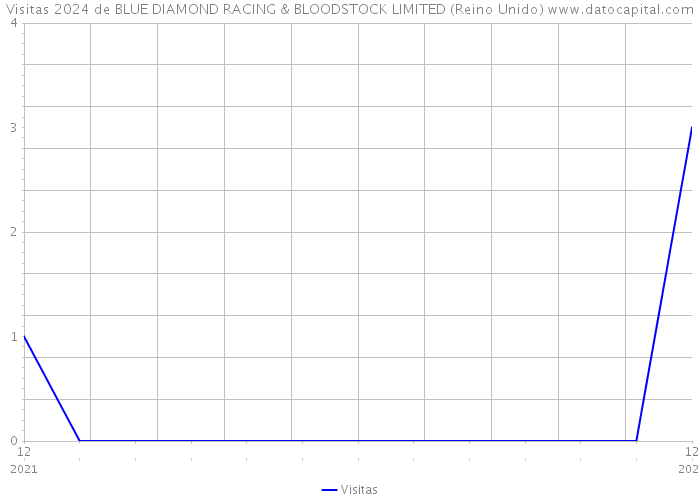 Visitas 2024 de BLUE DIAMOND RACING & BLOODSTOCK LIMITED (Reino Unido) 