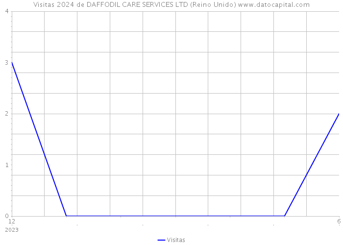 Visitas 2024 de DAFFODIL CARE SERVICES LTD (Reino Unido) 