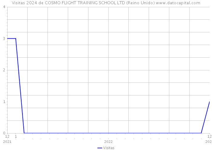 Visitas 2024 de COSMO FLIGHT TRAINING SCHOOL LTD (Reino Unido) 