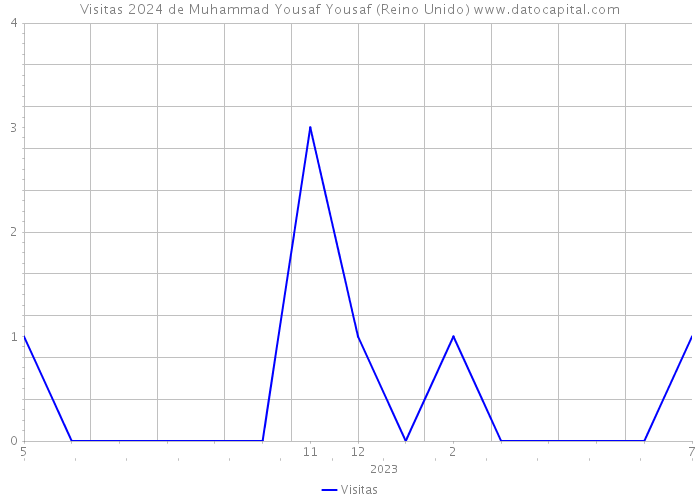 Visitas 2024 de Muhammad Yousaf Yousaf (Reino Unido) 