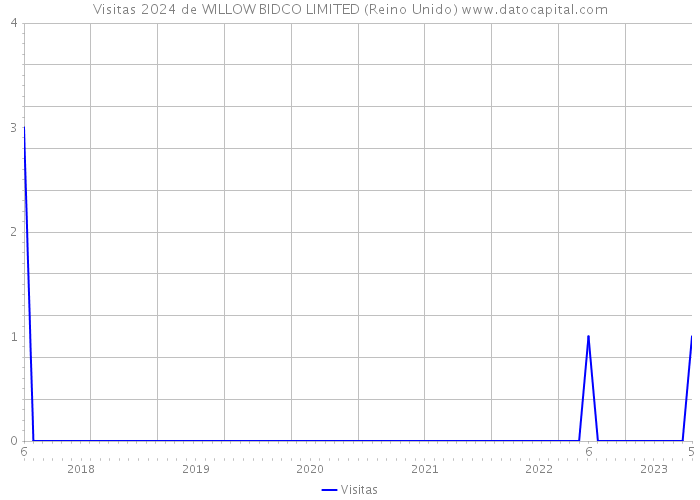 Visitas 2024 de WILLOW BIDCO LIMITED (Reino Unido) 