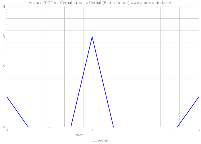 Visitas 2024 de Cemal Kubilay Cemal (Reino Unido) 