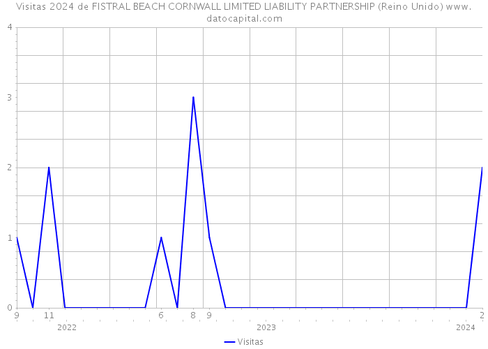 Visitas 2024 de FISTRAL BEACH CORNWALL LIMITED LIABILITY PARTNERSHIP (Reino Unido) 
