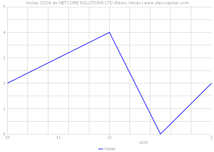 Visitas 2024 de NETCORE SOLUTIONS LTD (Reino Unido) 