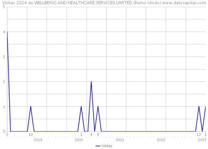 Visitas 2024 de WELLBEING AND HEALTHCARE SERVICES LIMITED (Reino Unido) 