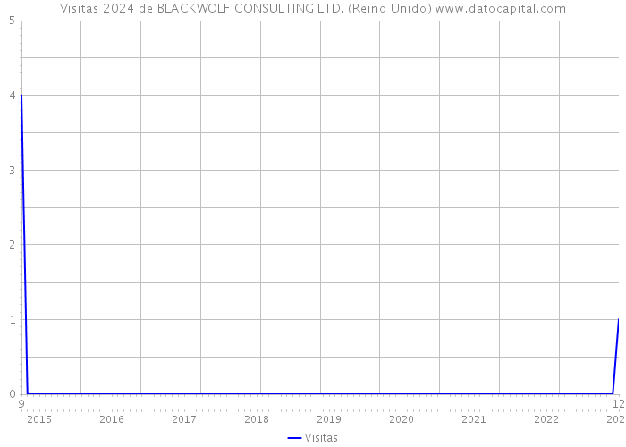 Visitas 2024 de BLACKWOLF CONSULTING LTD. (Reino Unido) 