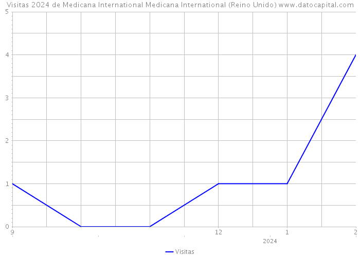 Visitas 2024 de Medicana International Medicana International (Reino Unido) 