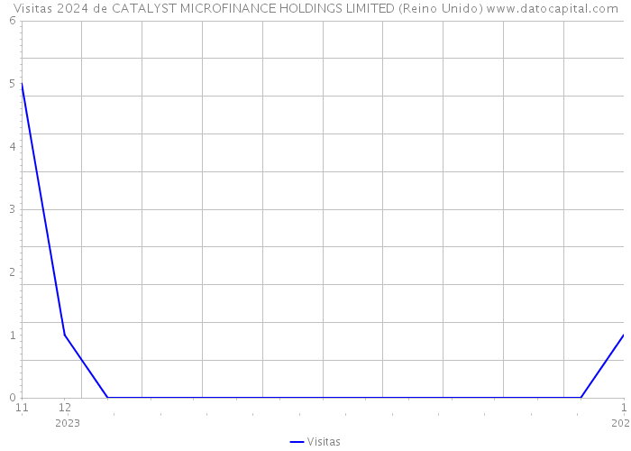 Visitas 2024 de CATALYST MICROFINANCE HOLDINGS LIMITED (Reino Unido) 